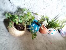 Flower-Vessels-scaled