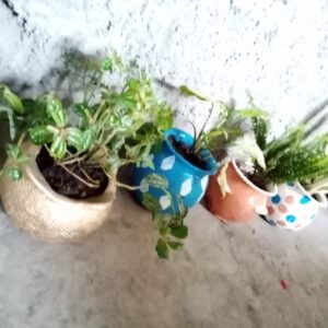 Flower Vessels