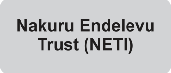 NETI